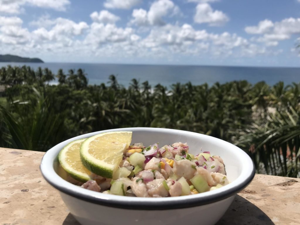 ceviche view